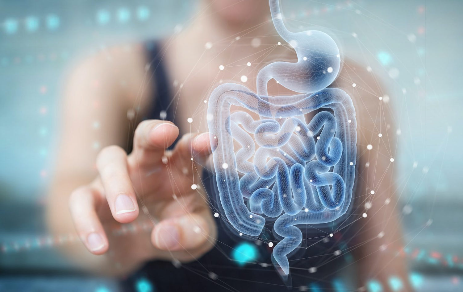 Gut Microbiome Reset