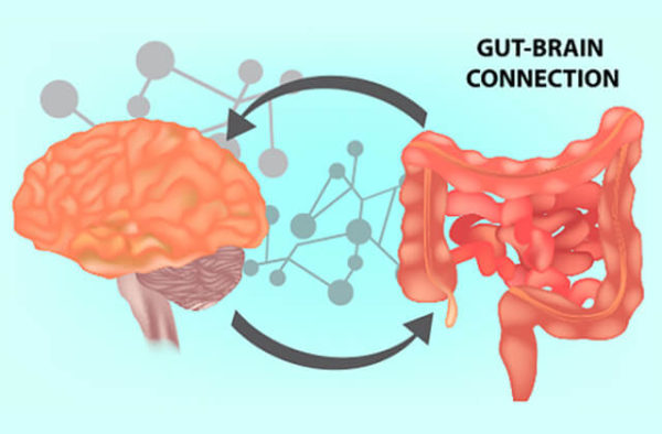 Gut - Brain Connection