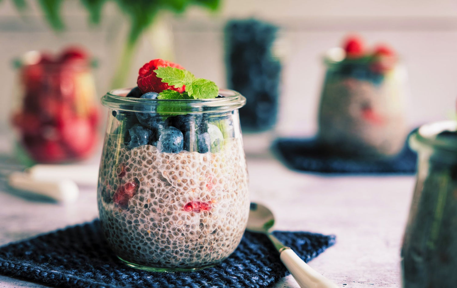 Gut Healing Pudding with Inulin Prebiotic and Chia To Improve Your Gut-Brain Health