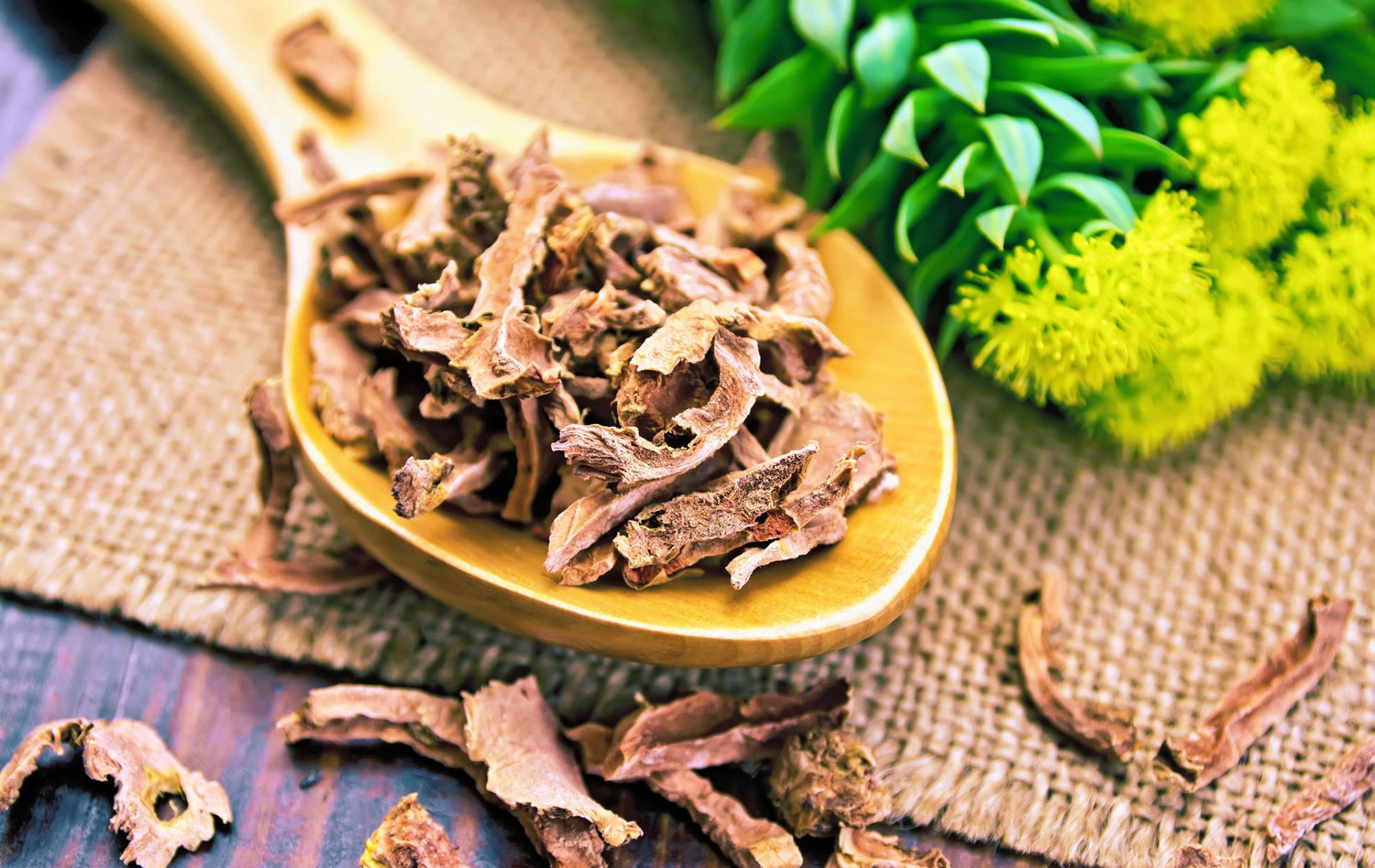 Reduce Stress Naturally With Rhodiola