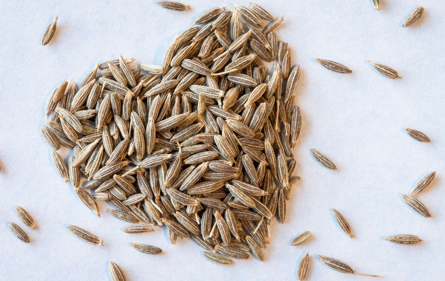3 Powerful Botanicals for Immune Support: Nigella Seed, Sea Moss & Nattokinase (Science and Practical Use)