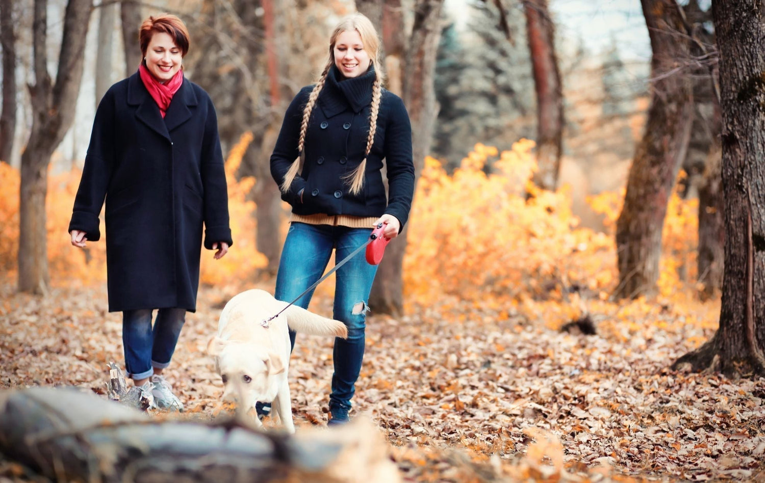 Why Walking Is The Most Underrated Wellness Habit For Your Gut, Hormones & Mood