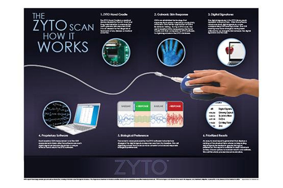 Zyto Full Body Scan Rejuv Wellness